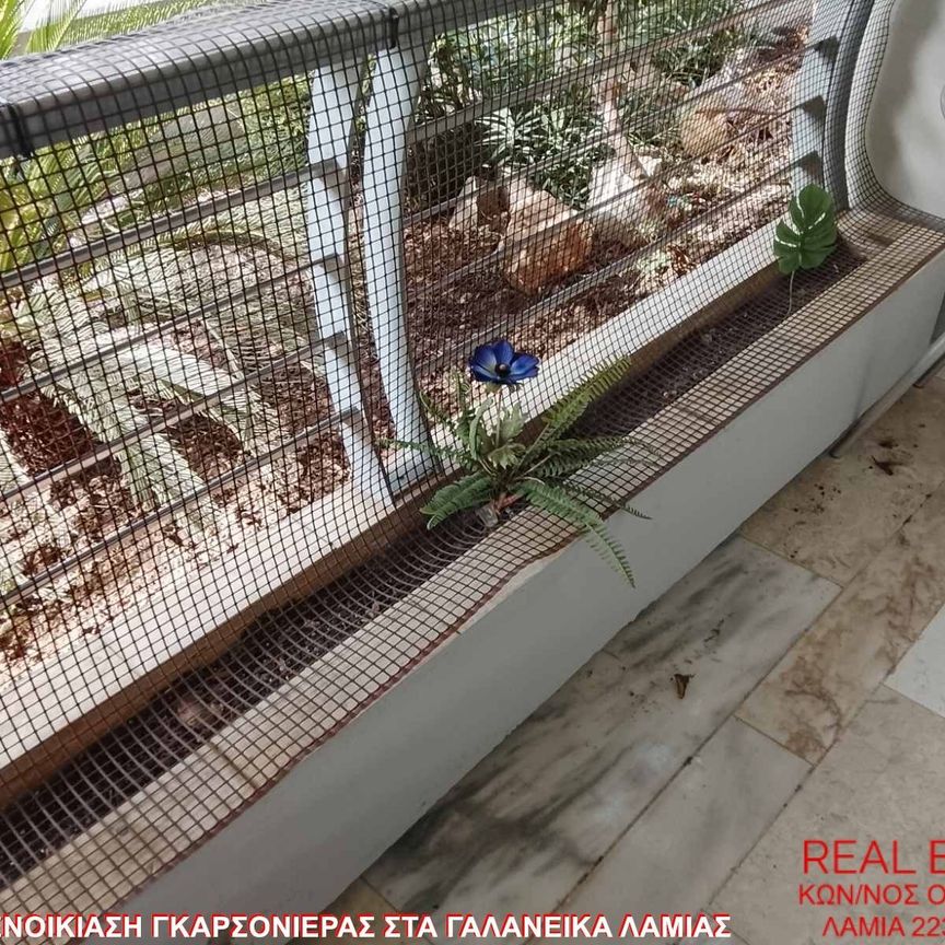 Studio/Γκαρσονιέρα για ενοικίαση Γαλανέικα - Νέα Ιωνία - Άνοιξη (Λαμία) - Photo 1