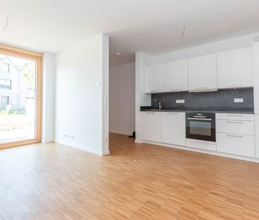 Attraktive Neubauwohnungen in Emlichheim - Photo 2