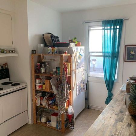 2 CH - 1 SDB - Sainte-Anne-de-Bellevue - $1,440 /mo - Photo 3