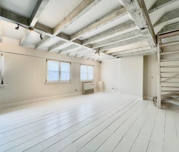 Prachtige duplex 1slpk app in centrum Antwerpen - Photo 3