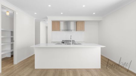Brand New Family Home - Photo 2