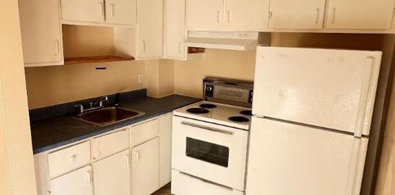 1 CH - 1 SDB - Montréal - $1,146 /mo - Photo 2