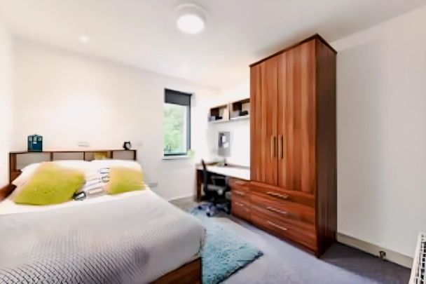 Studio bronze plus - Photo 1