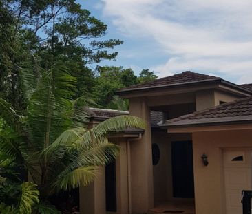 Mount Sheridan - Photo 6