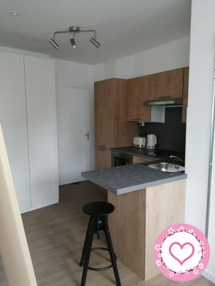 Location Appartement 1 pièce 22m² SULLY SUR LOIRE 45600 - Photo 1