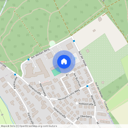 Am weissen Berg 3, 61476 Hessen - Kronberg im Taunus