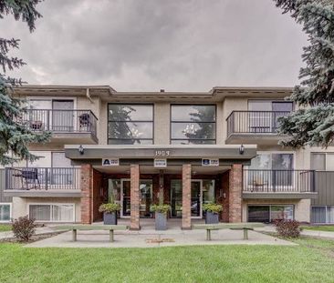 1903 8th Avenue NE, Calgary - Photo 6