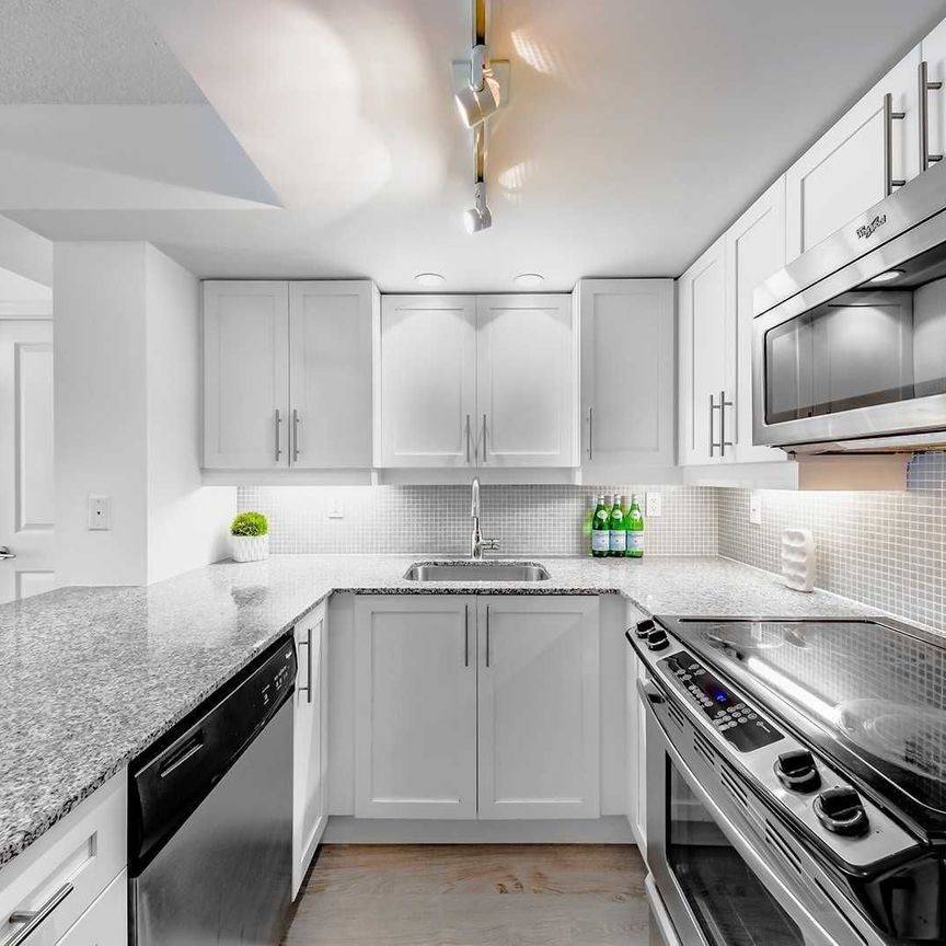 For Lease - 85 East Liberty Street Unit# 729, Toronto, Ontario - Photo 1