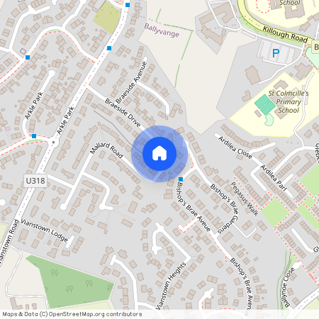 30 Mallard Road, Downpatrick, BT30 6DY