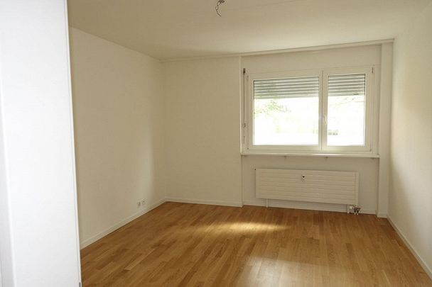 Zuhause im schönen Baselland! - Photo 1