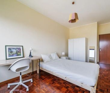 Rua do Campo Alegre, Porto, Braga 4150-177 - Photo 2