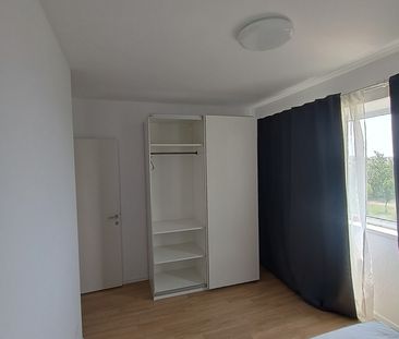 Bragadiru, Ilfov, Iernii - Photo 6
