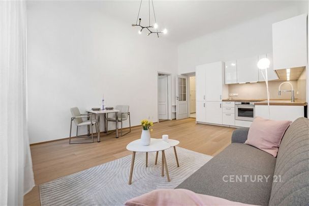 Stylový byt 2+kk na Praze 1. Cihlový dům. Dubové parkety, vysoké stropy, designová koupelna. - Fotografie 1