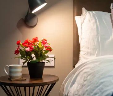 2 Bedroom Apartment (Large) - Photo 5