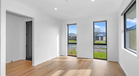 Brand New Executive Home - Photo 3