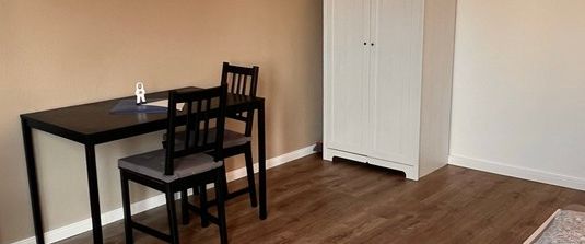 Möblierte 1-Zimmer-Wohnung im Zentrum von Nürnberg - Foto 1