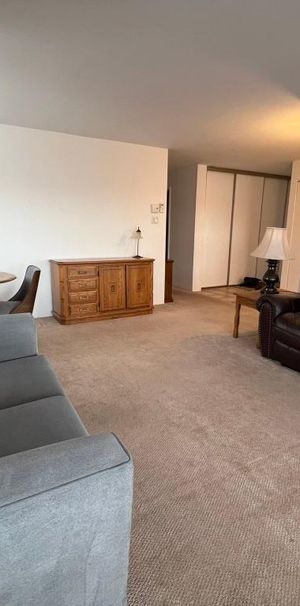 Grand condo 3 1/2 Meublé et équipé - Photo 1