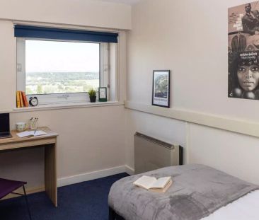 Platinum Room - Photo 6