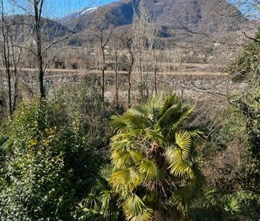 SOLDUNO, 3½ room apartment for rent near the Maggia river - Photo 6