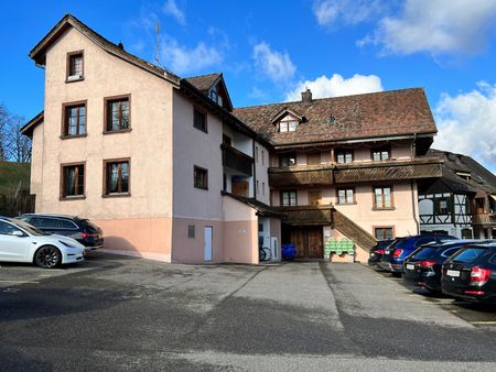 Grosszügige teilsanierte 3,5 Zi-Dachwohnung zu vermieten - Foto 4