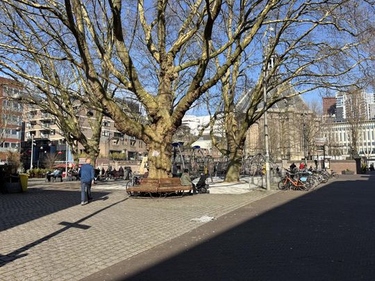 Te huur: Appartement Gedempte Gracht in Den Haag - Photo 1