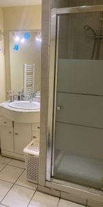 Location Appartement 1 pièce 25m² BORDEAUX 33800 - Photo 4