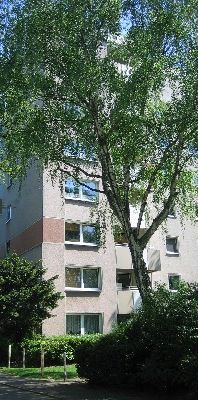 Jetzt frei! 3-Zimmer-Wohnung in Gelsenkirchen Hassel - Foto 2