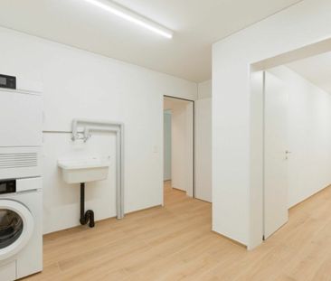 3.5 Zimmer, EG - Photo 4