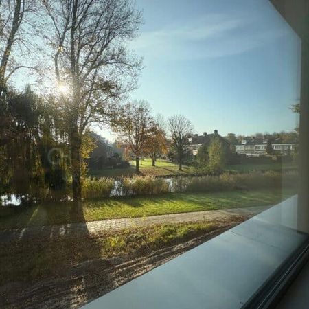 Roerdomplaan - Foto 3