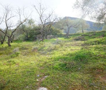 Luxury 3 room Detached House for rent in Alhaurín el Grande, Andalusia - Photo 4