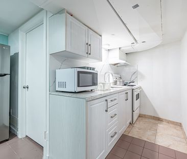 For Lease - 118 William Street Unit# LOWER, Toronto, Ontario - Photo 6