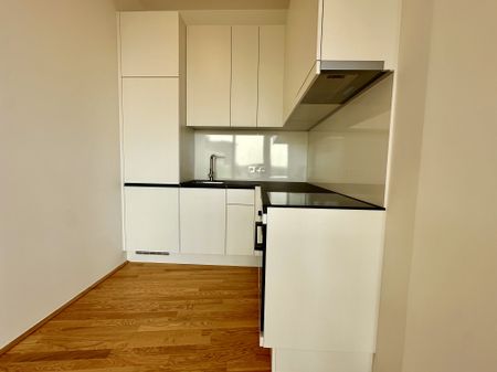 Rare opportunity! A luxurious apartment with a dream view over Vienna. - Photo 5
