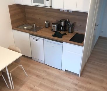 Location Appartement 1 pièce 19m² - Photo 3