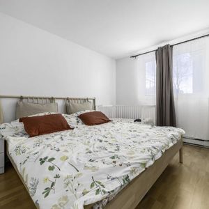 Appartement 4 ½ à louer Lévis juin 2026 - Photo 2