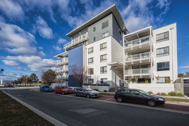 159/54 Eyre Street, Kingston ACT 2604 - Apartment For Rent | Domain - Photo 1