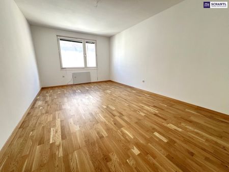 Ihre Chance in Favoriten – perfekt angebunden & sofort bezugsfertig! Schnell sein! - Photo 2