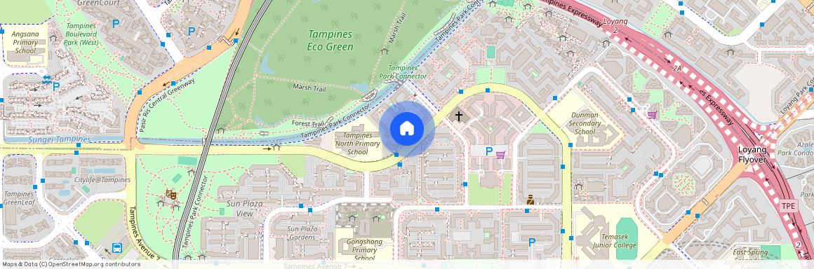 496G Tampines Avenue 9 (523496), Singapore