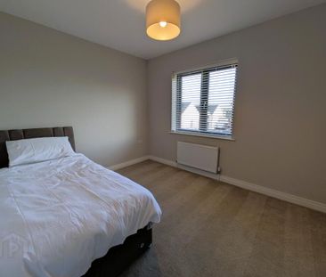 108 Edenbrook, Newry Road, Banbridge, BT32 3ZP - Photo 5