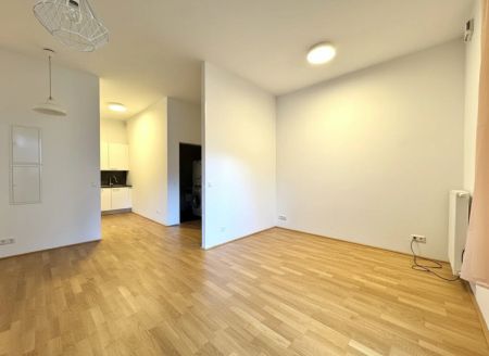 geräumige und gut aufgeteilte 1-Zimmer Wohnung mit großer Terrasse ab 01.01.2026 - Photo 4