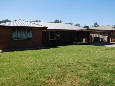 81 Veale Street Ashmont NSW - Photo 4