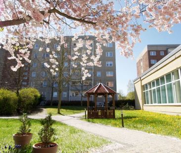 1 Raum Wohnung für Senioren - Photo 6