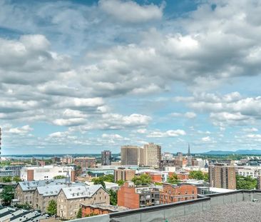 3475 Rue Saint-Urbain apartment — Montréal, QC (1-Bedroom) - 1 Bedroom - Photo 4