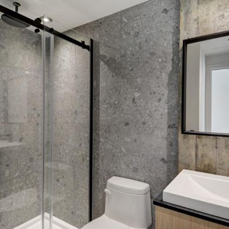 3 ½ entièrement meublé à louer Saint-Jean-Baptiste juillet 2026 - Photo 4