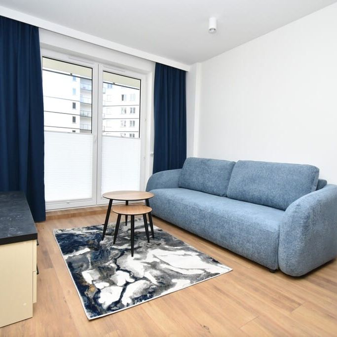 Zobacz ---> Jasne 3 pokoje na Dionizosa od zaraz 44 m² - Photo 1