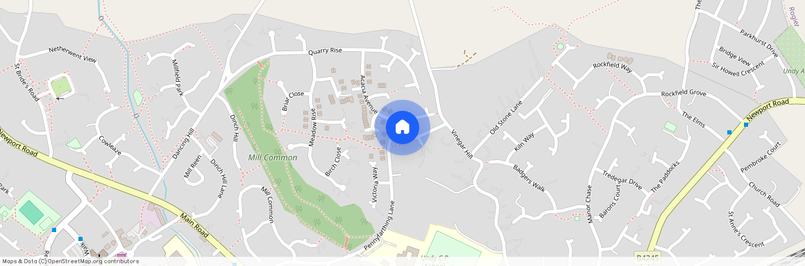 Pennyfarthing Lane, Undy, NP26