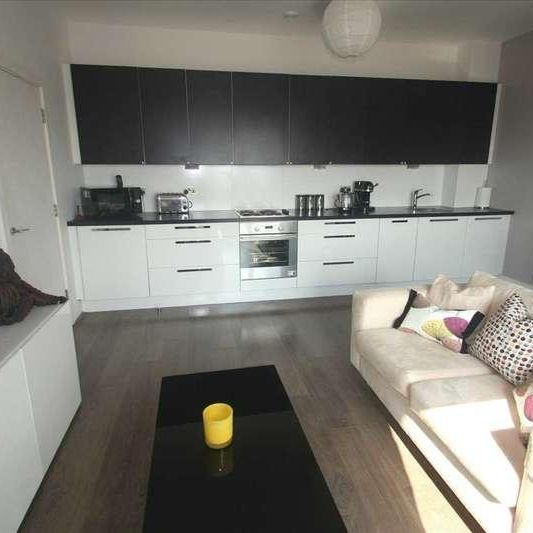 Skyline Plaza, Basingstoke Town Centre, RG21 - Photo 1