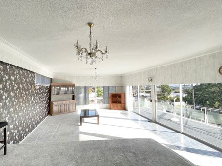 When New Lynn meets Grey Lynn! - Photo 2