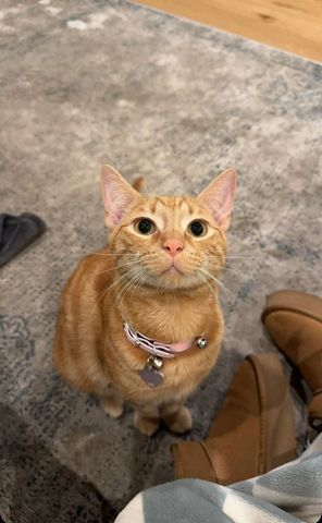 North Plympton - Photo 3