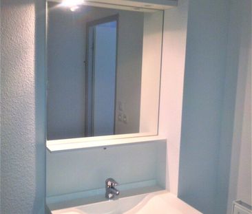 Location Appartement 1 pièce 24m² ST HERBLAIN 44800 - Photo 3