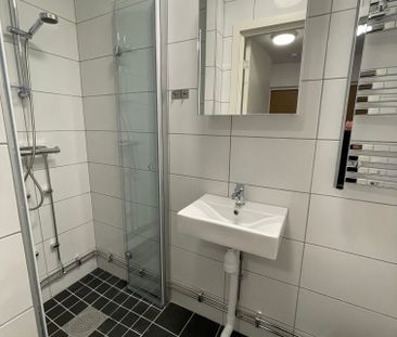 Ollenicklas väg, Vänersborg - Foto 5